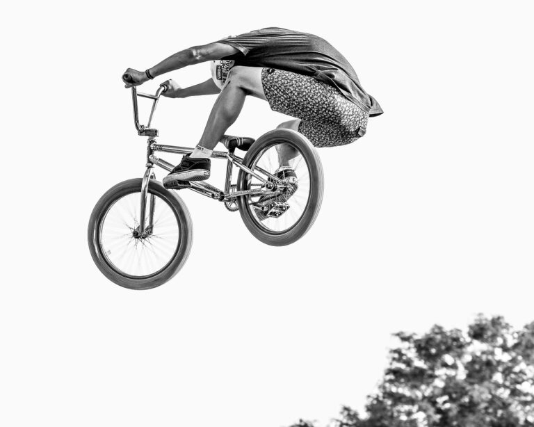 Exploring the Influence of Cricket on Political Discourse