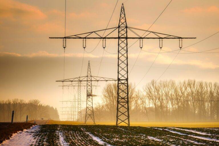 The Beauty of Biophilic Design in Eco-Friendly Accommodations