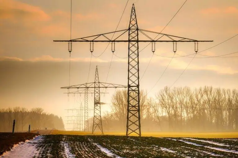 The Beauty of Biophilic Design in Eco-Friendly Accommodations