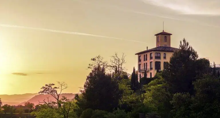 Maximizing Natural Light in Your Home: Window Placement Strategies