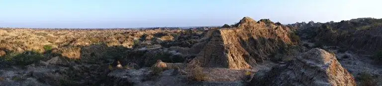 The Role of Identity Politics in Mobilizing Voter Blocs